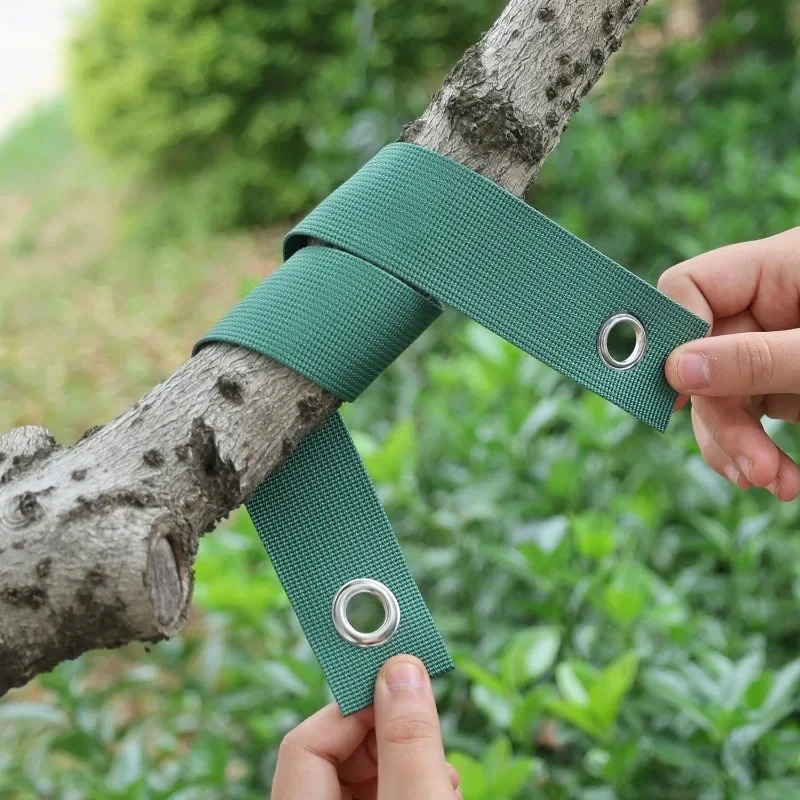 20-1Pcs Garden Plant Tie Strap - مراجعة Windsor Knot Tie وسعره